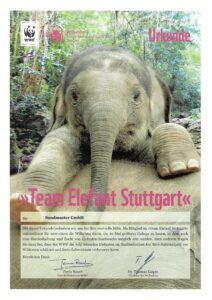 Wir sind Teil von Team Elefant Stuttgart